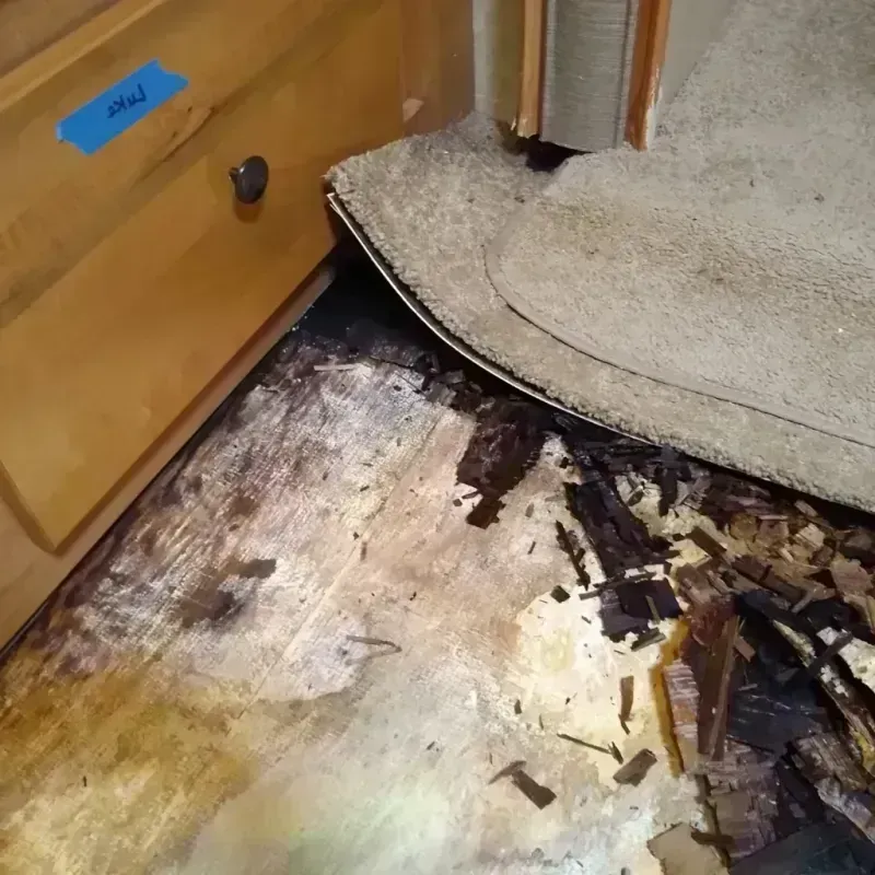 Wood Floor Water Damage in Orange Beach, AL